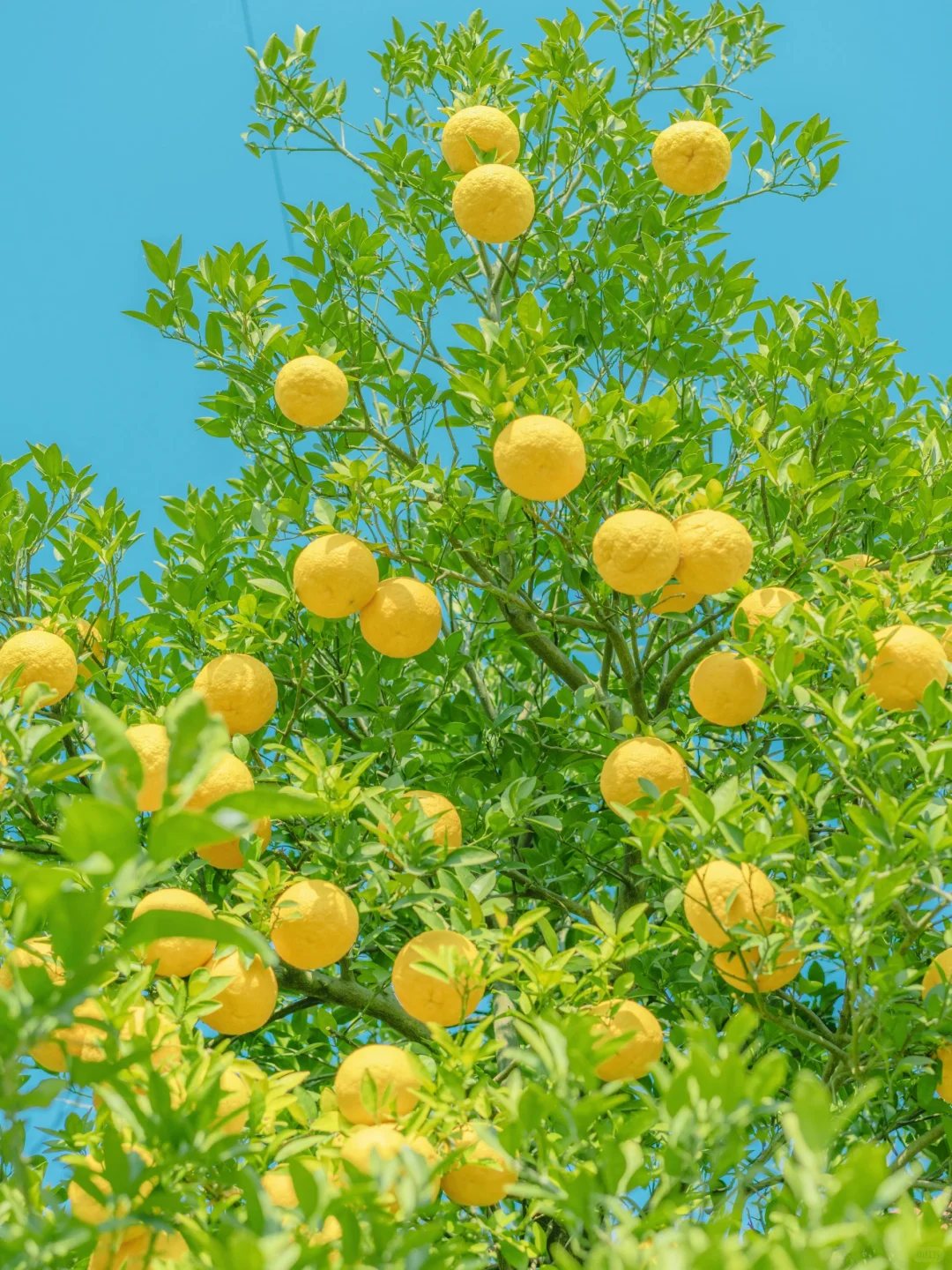 你可能不认识我，也一定没看过我拍的照片