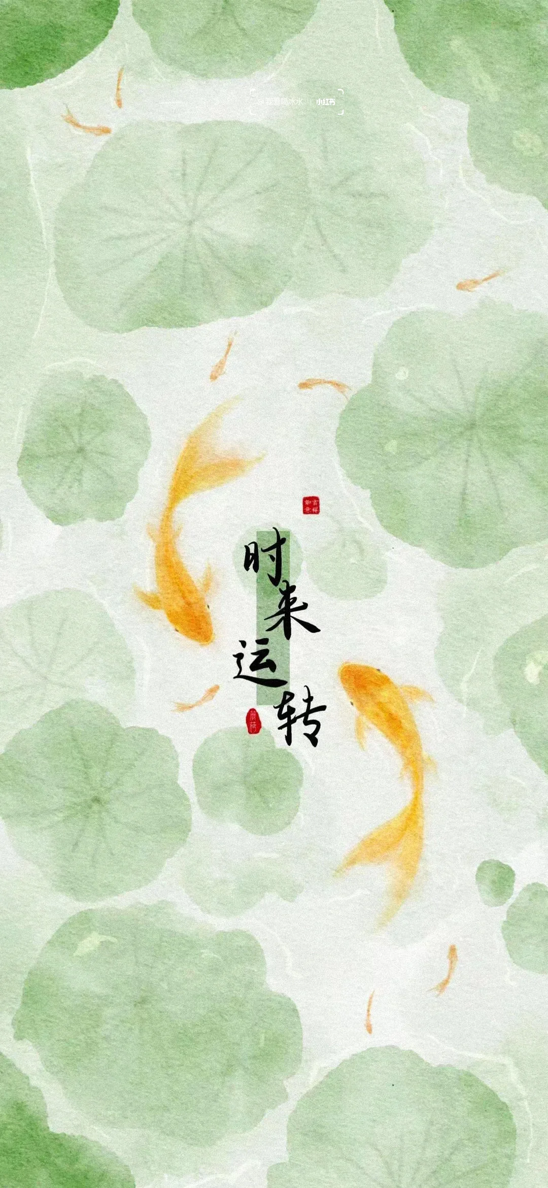 壁纸小众不撞款 锁屏瞬间变高级