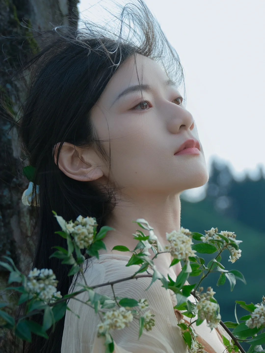 🎬正片：在风中邂逅，相遇即是自由！
