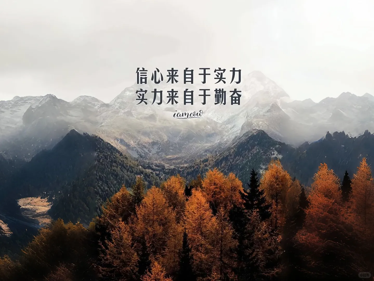 壁纸ins质感，手机壁纸，ipad，平板壁纸