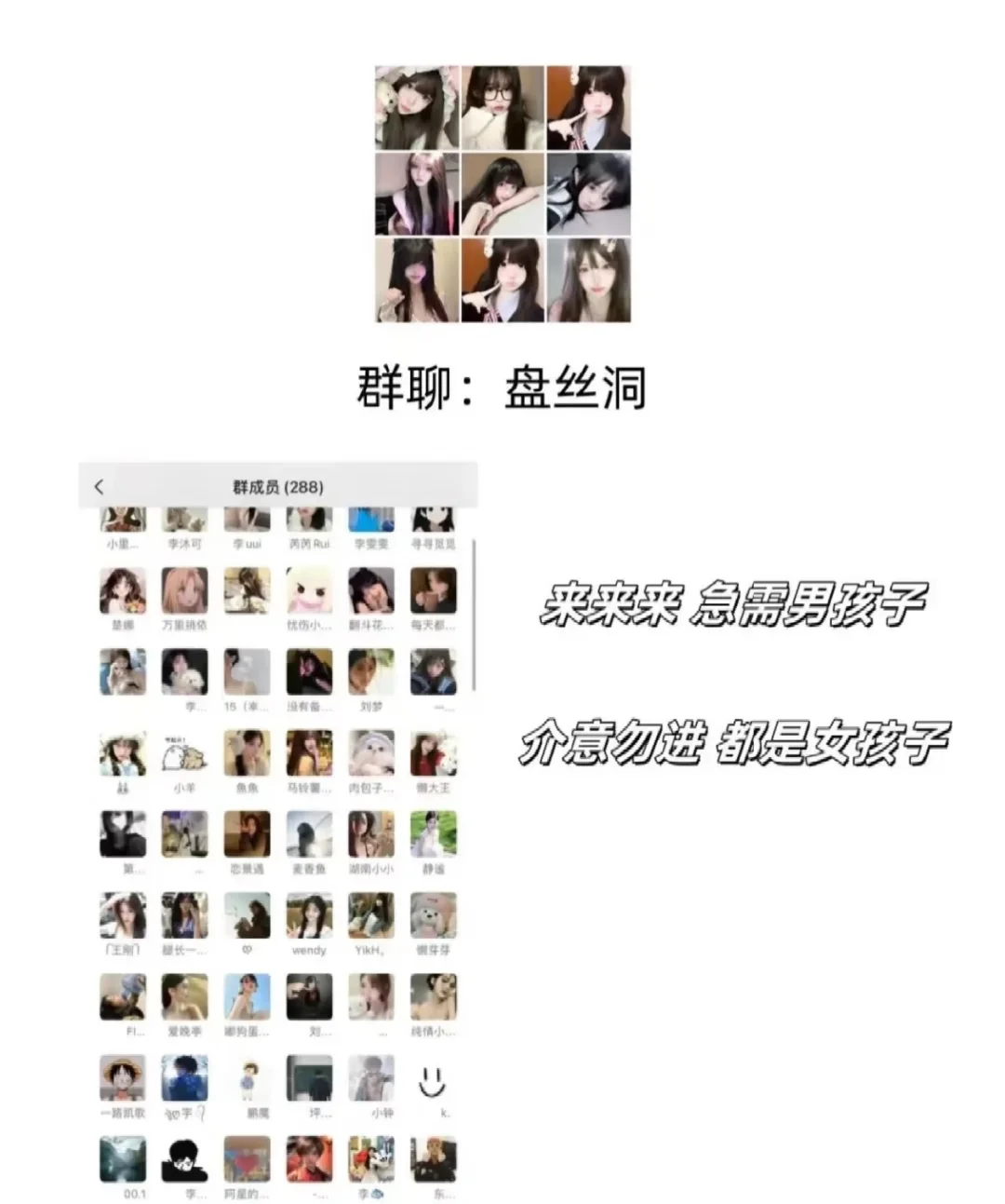 全是美女😻！速来！