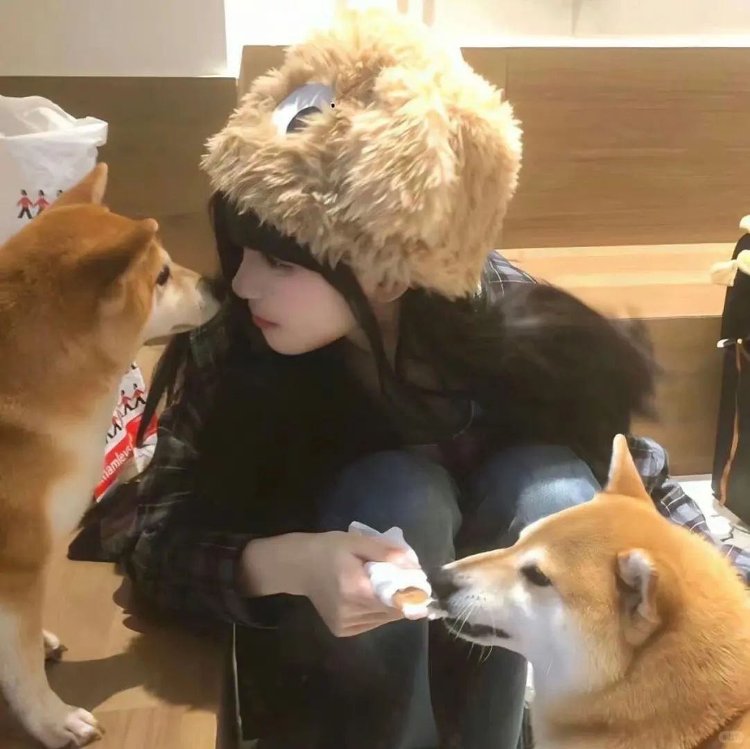 Wechat|可爱宠物女生头像