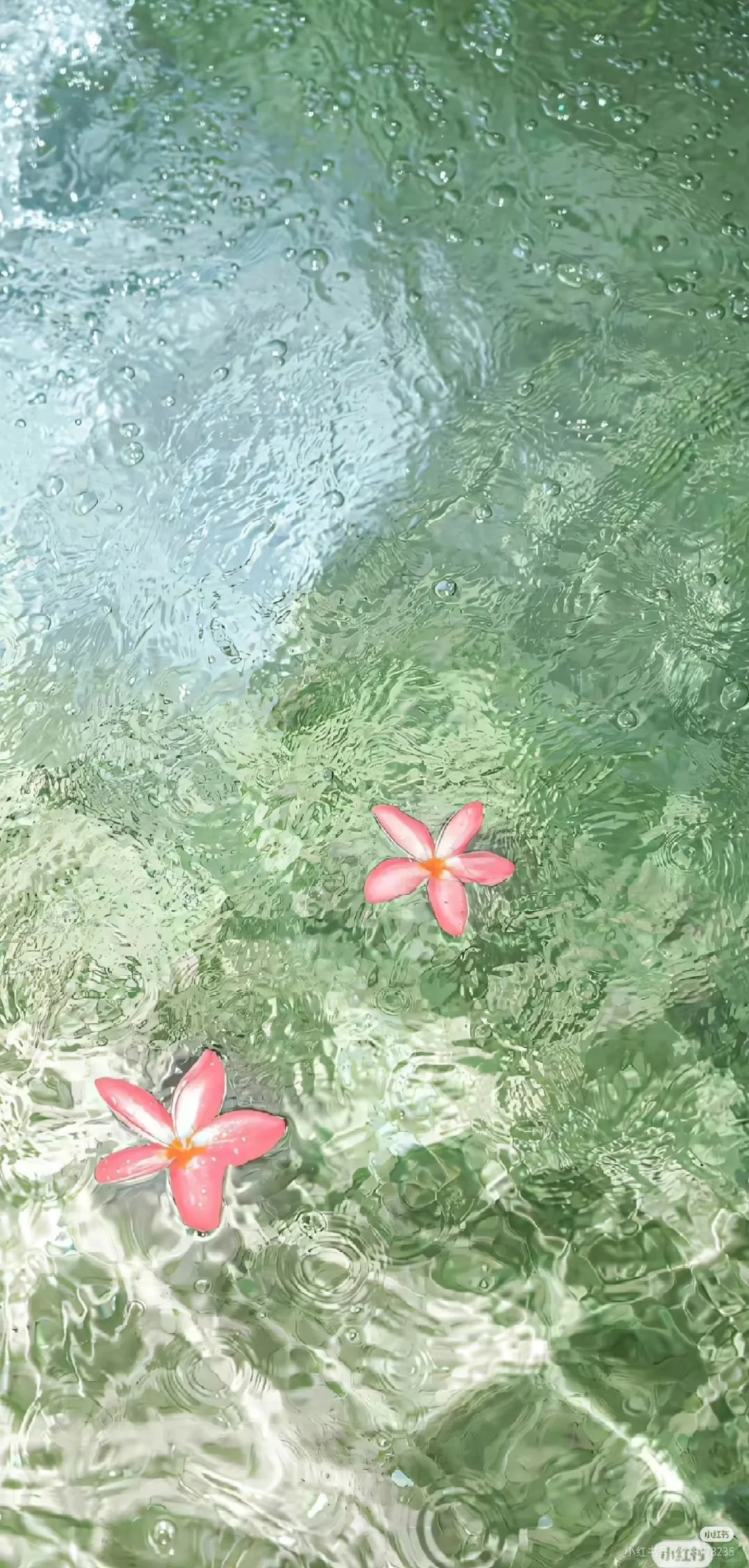 _green色系小众壁纸