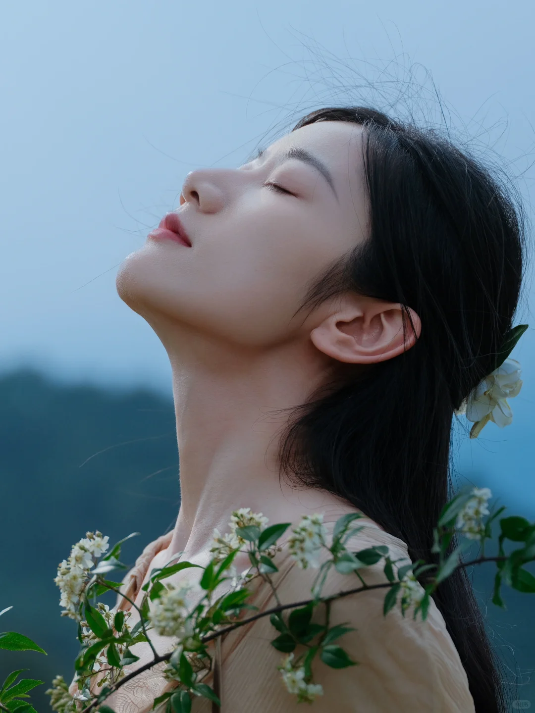 🎬正片：在风中邂逅，相遇即是自由！