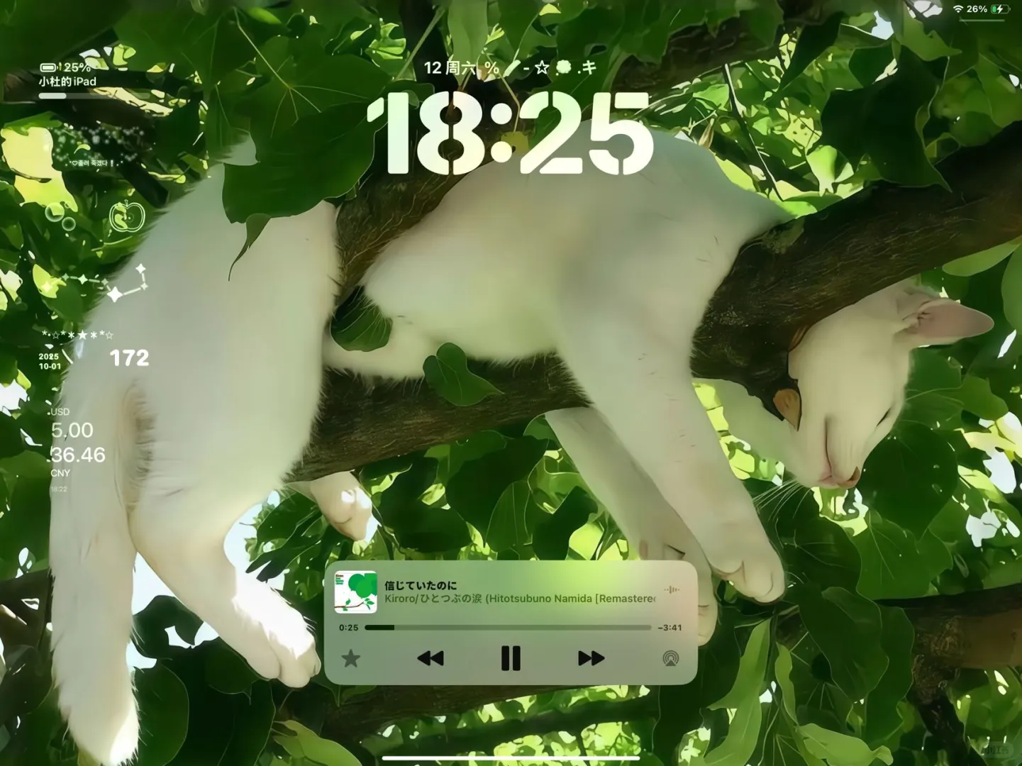 iPad壁纸｜生命力绿色系风景