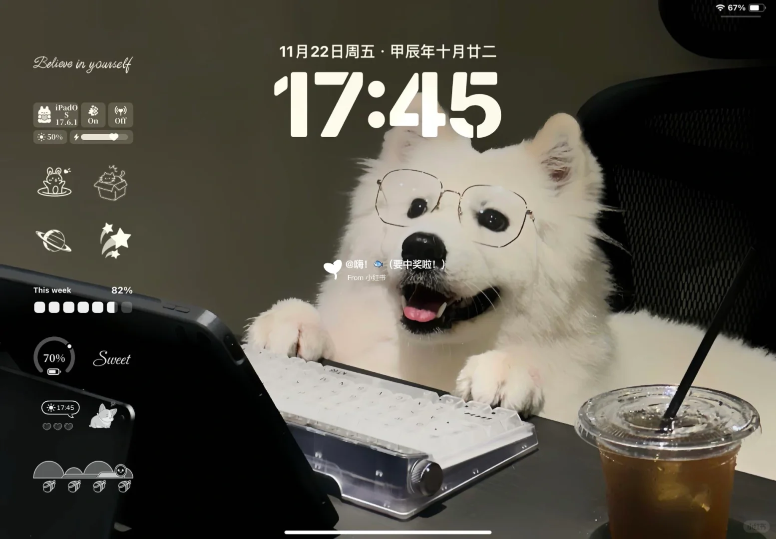 努力的小狗最可爱 | 高清版iPad壁纸
