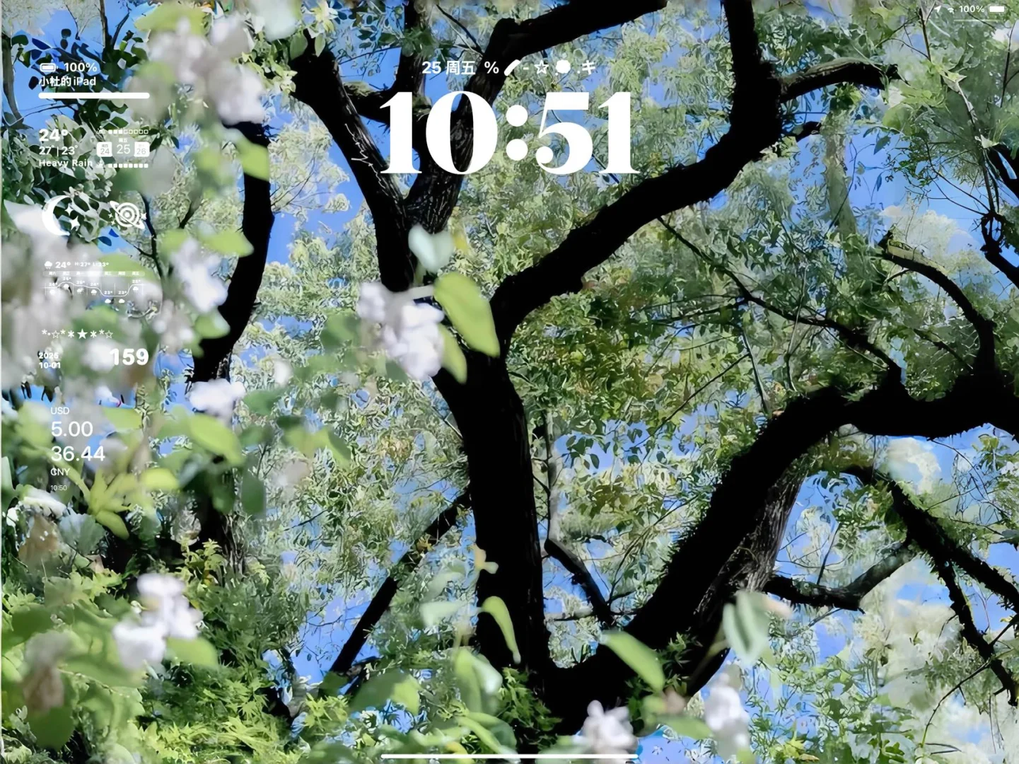 𝙎𝙝𝙖𝙧𝙚｜春日绿色护眼iPad壁