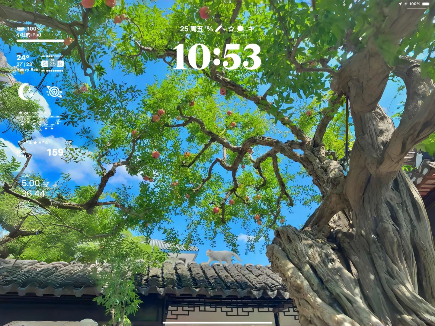 𝙎𝙝𝙖𝙧𝙚｜春日绿色护眼iPad壁