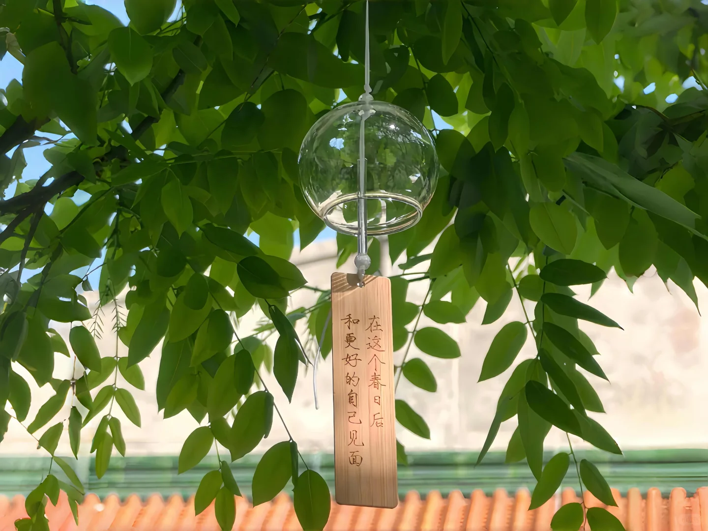 夏天就适合蓝色和绿色~平板壁纸第十六弹❗