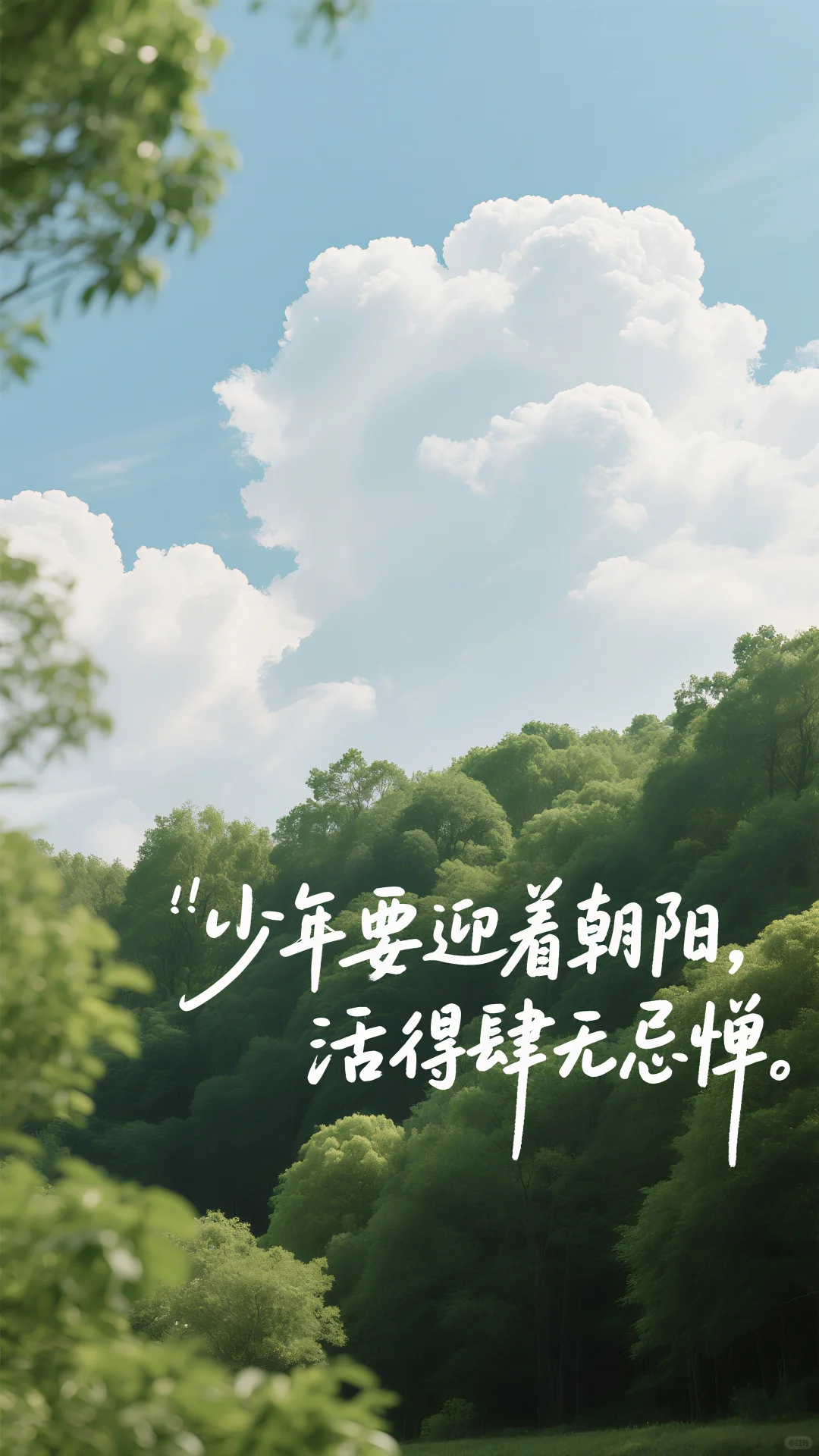 ——治愈系壁纸——挑一张吧