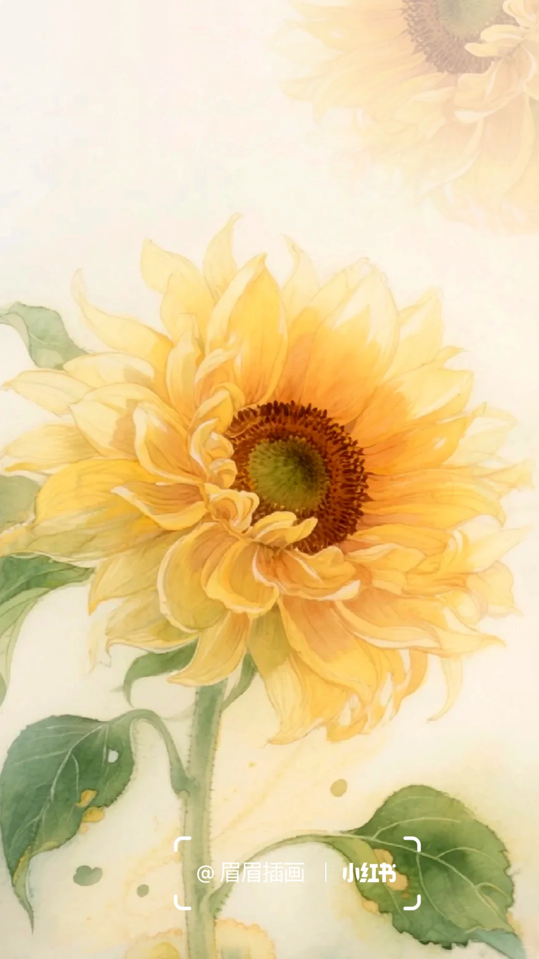 你的向日葵🌻心若向阳必有暖光