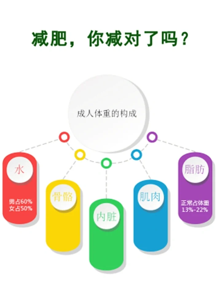减肥，你减对了吗