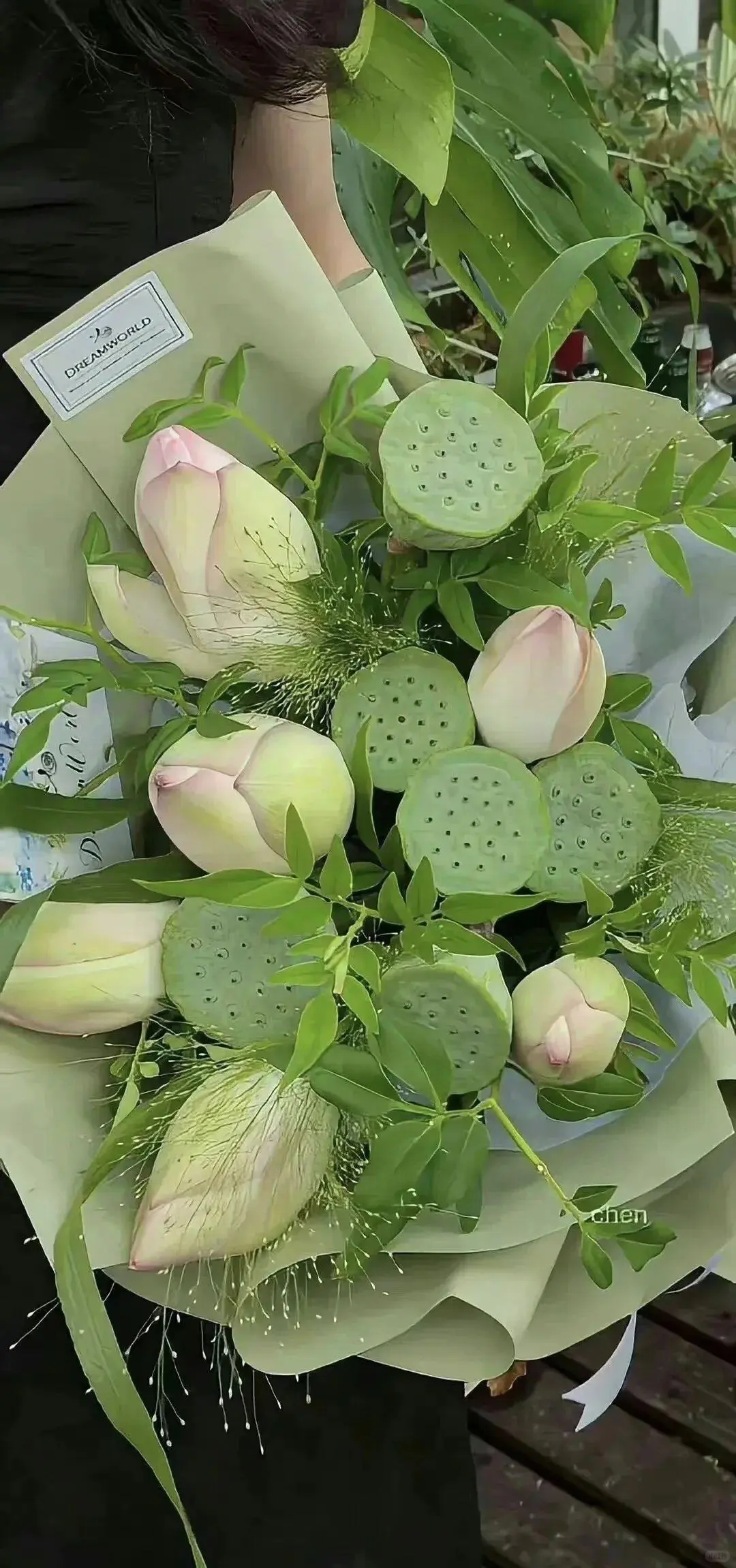 高级感高清ins壁纸