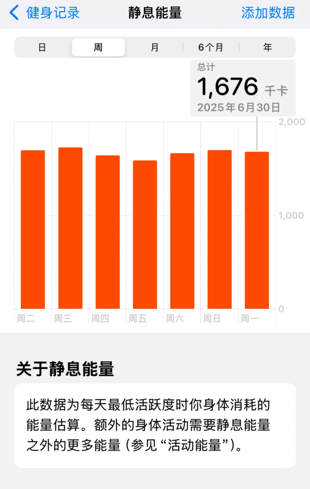 我和我的静息能量消耗🩰