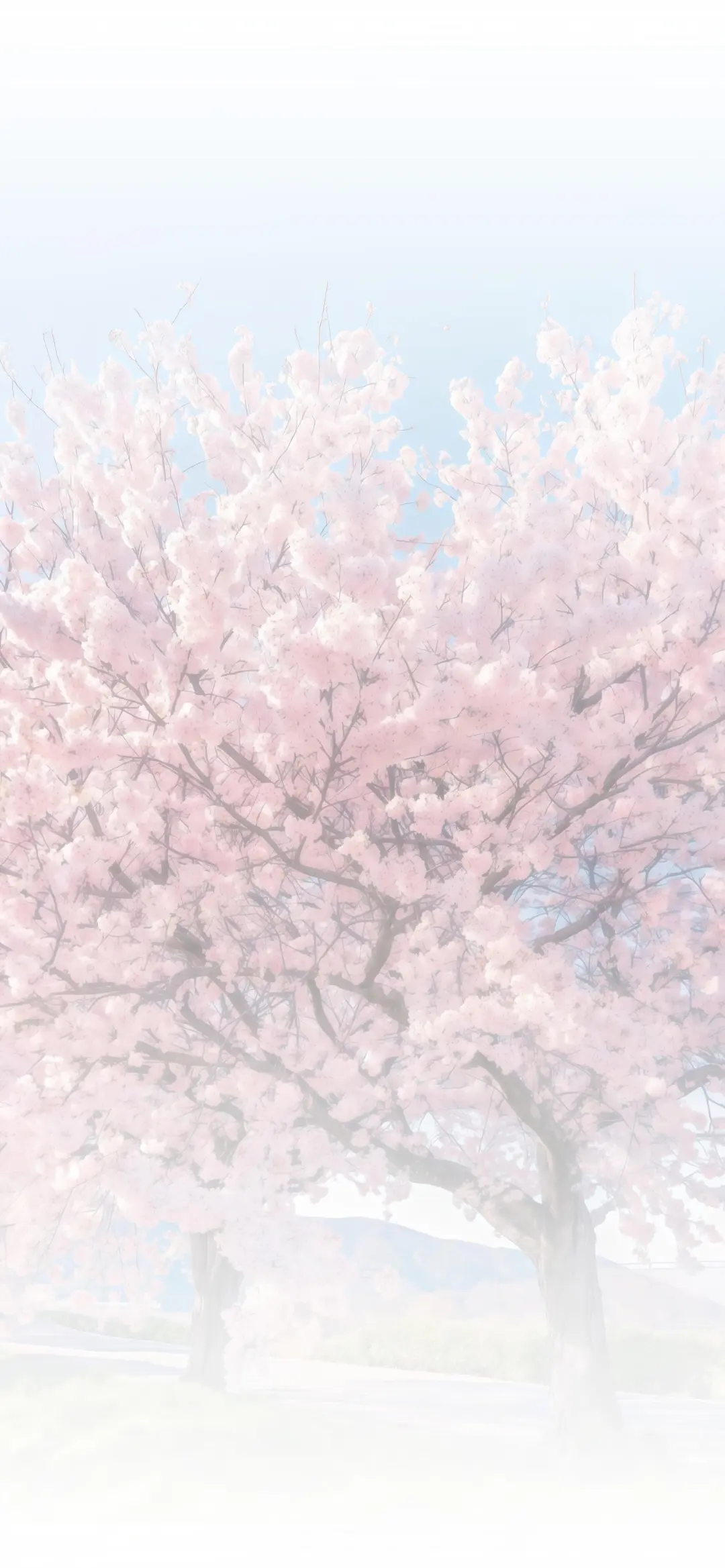 一组冷淡系浅色壁纸⊹.✮₊⋆