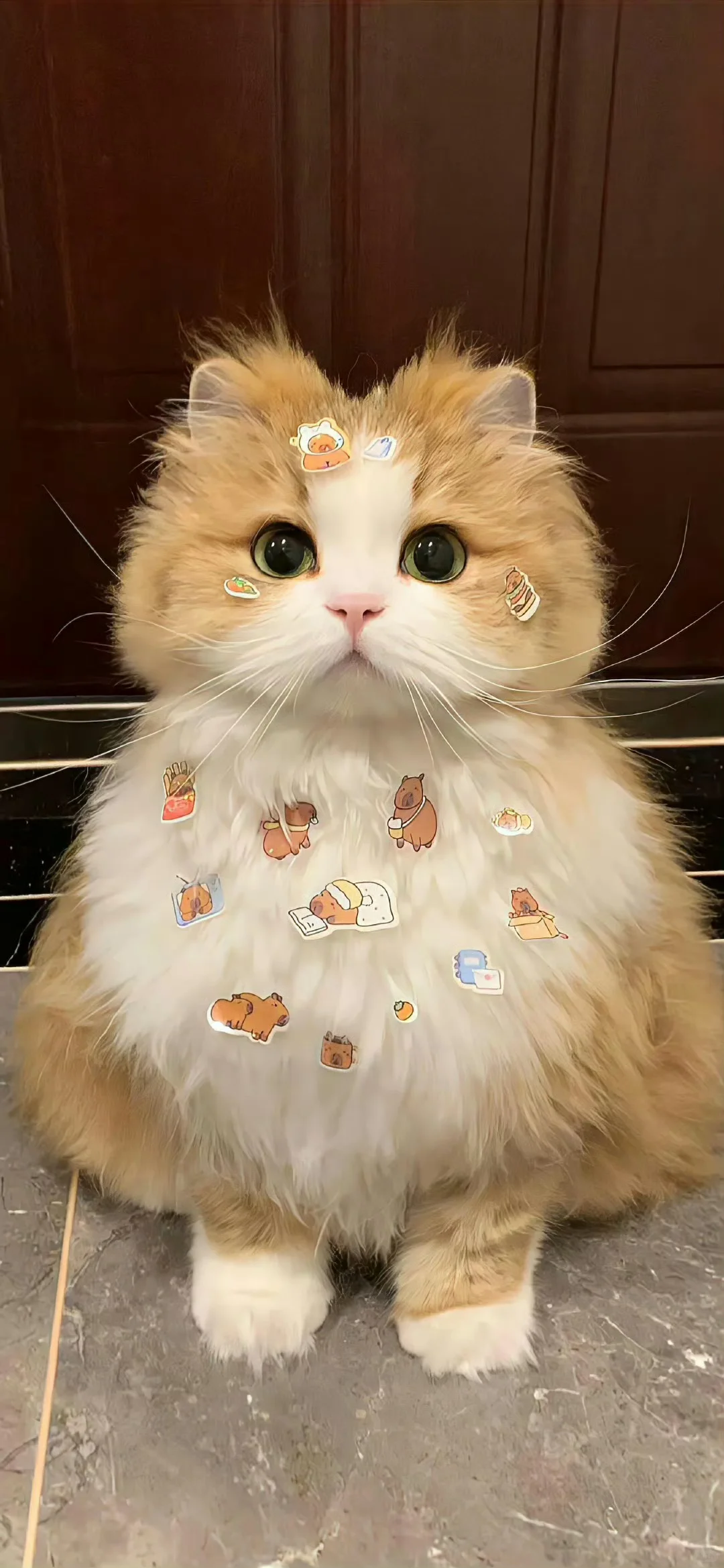 超级漂亮的ins风高清手机壁纸来啦(๑＞ڡ＜)☆
