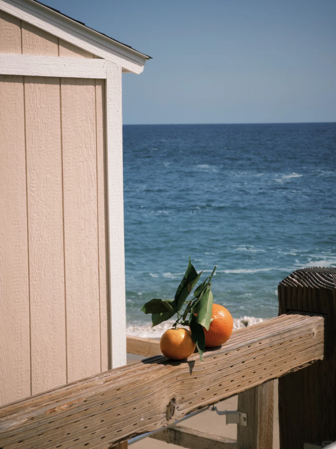 🍊California. 盛夏, 艳阳, 海岸, 甜橙。