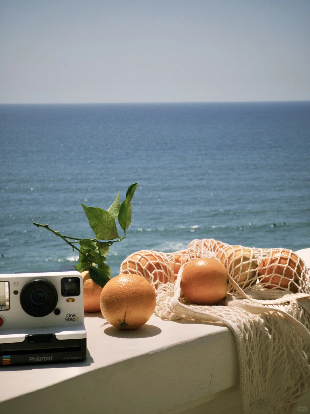 🍊California. 盛夏, 艳阳, 海岸, 甜橙。