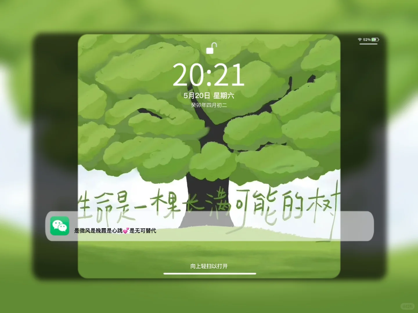 IPAD壁纸｜人生是旷野