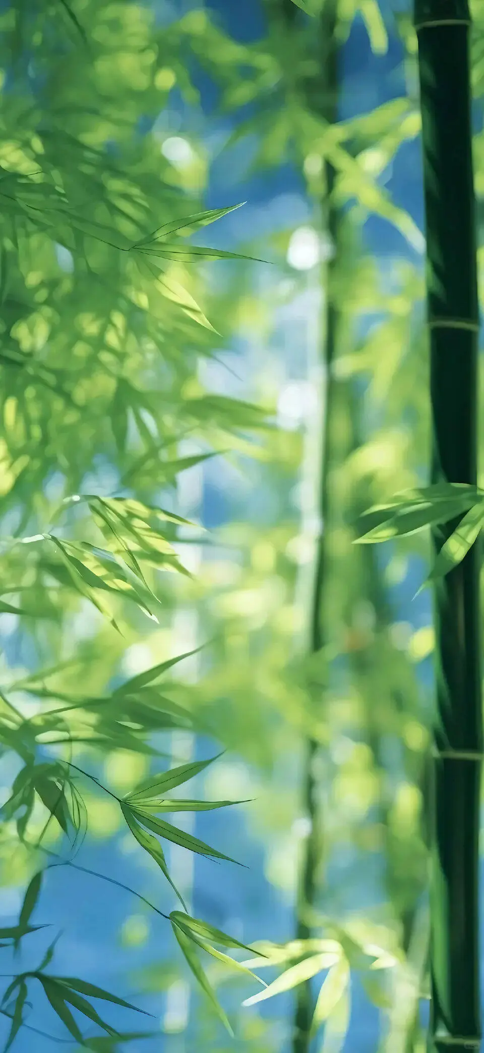 夏日清凉壁纸