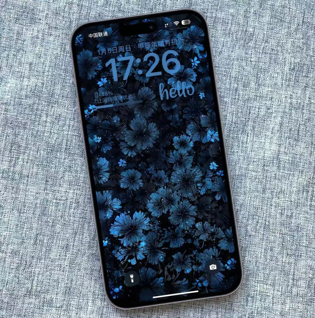iPhone壁纸｜如花 似梦 是我们短暂的相逢