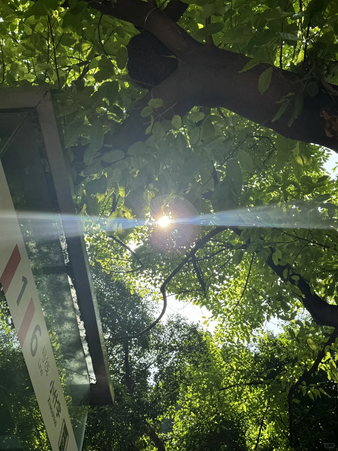 不加滤镜的大自然