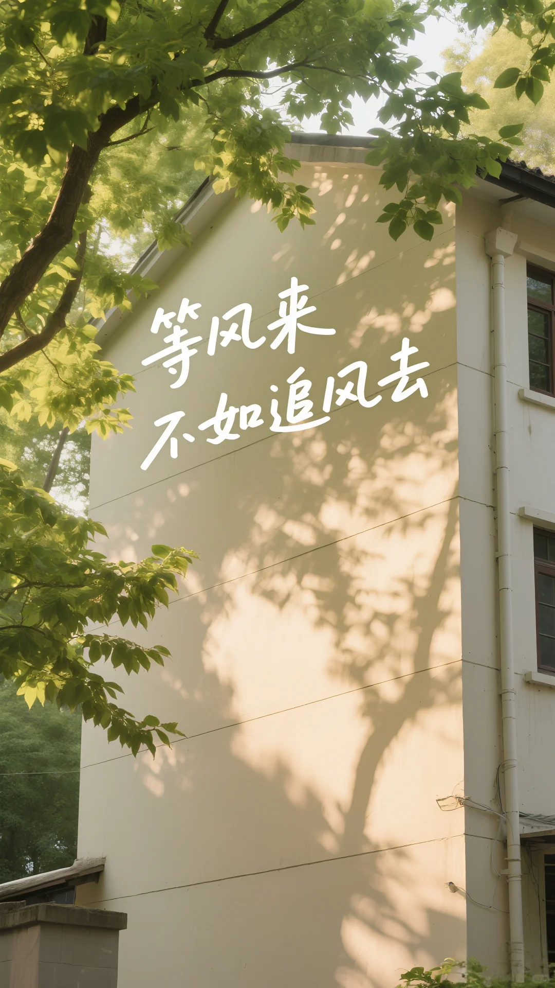——治愈系壁纸——挑一张吧