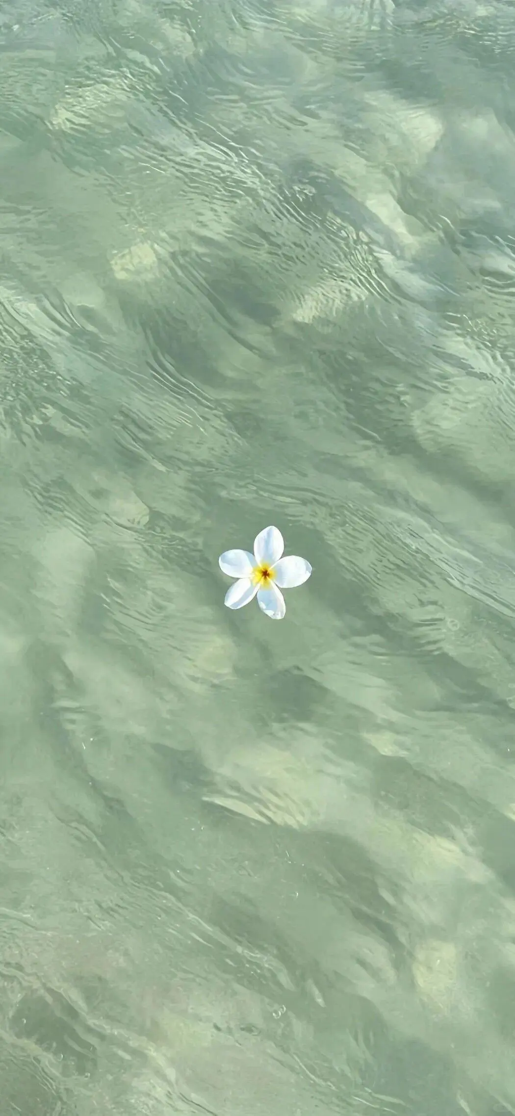 夏日清凉壁纸