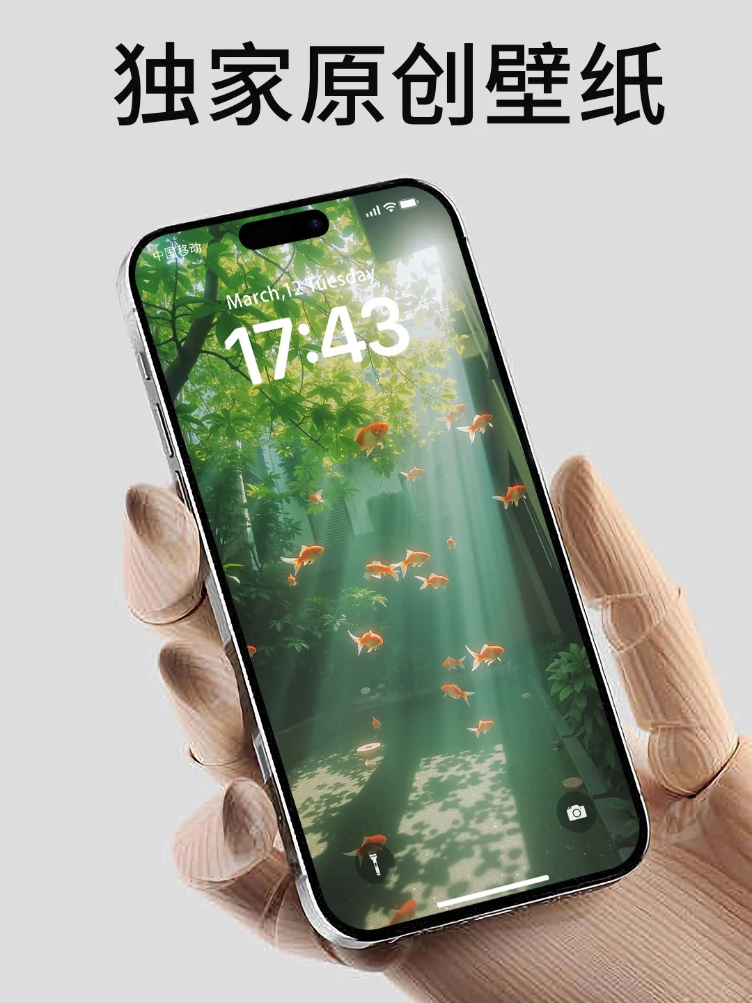 碧波金影｜动态壁纸