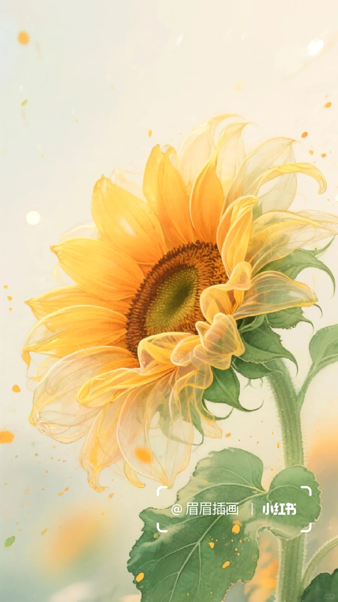 你的向日葵🌻心若向阳必有暖光