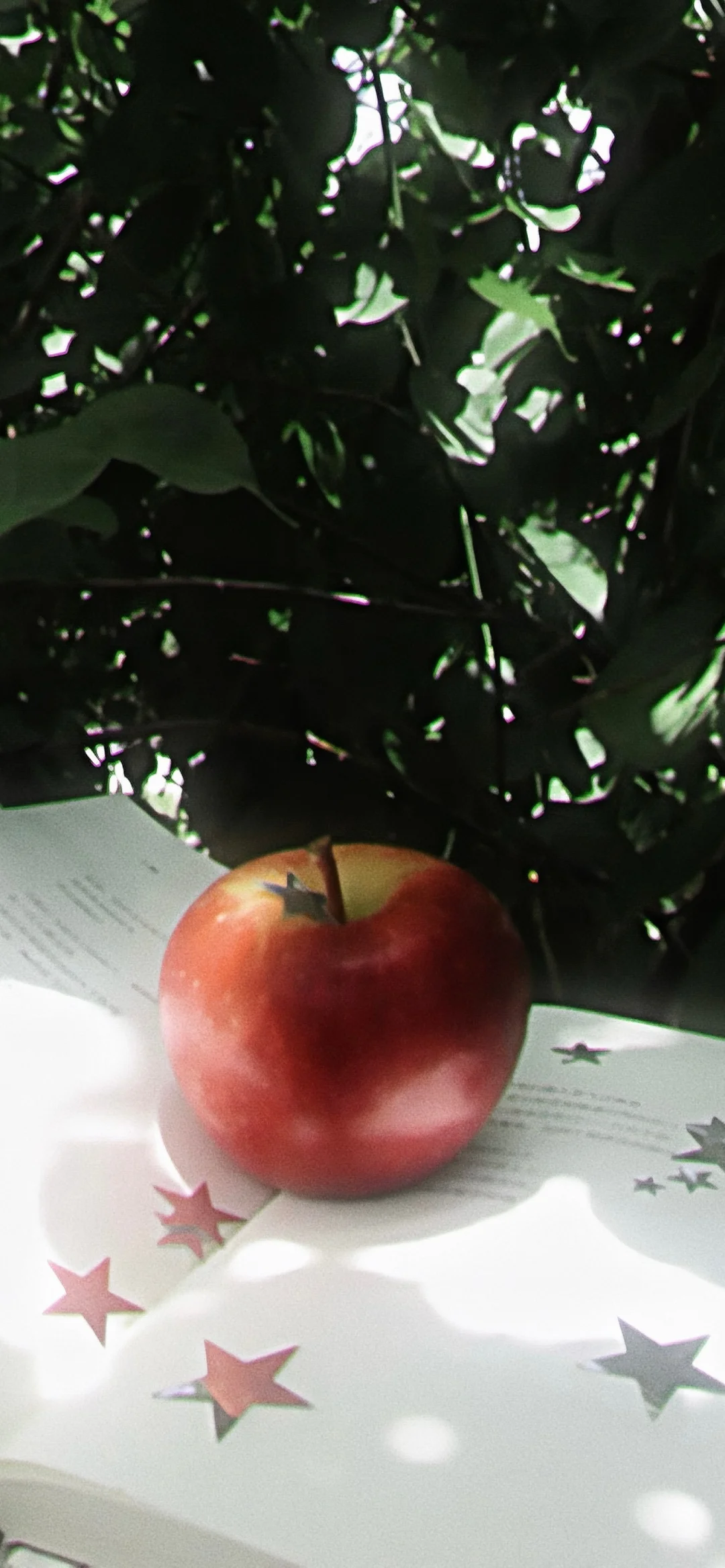 一期夏日壁纸/自截壁纸分享˶ᵒ ᵕ ˂˶ 🧼🫧🍈