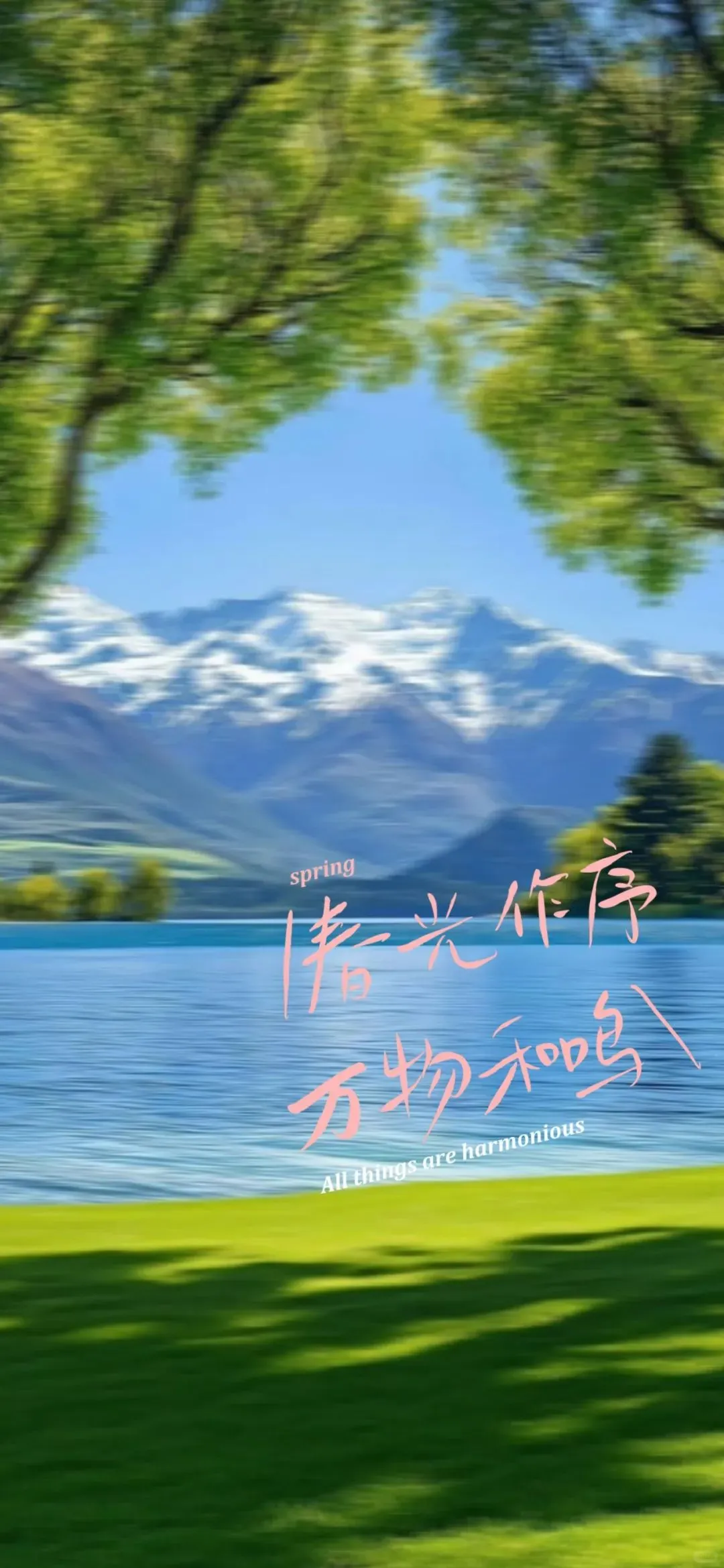 这样的壁纸怎么能拒绝