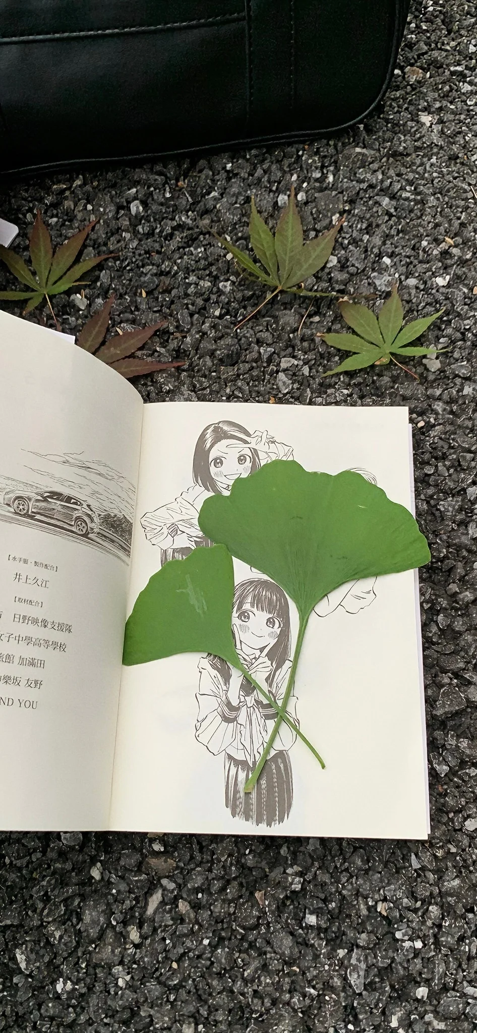一期夏日壁纸/自截壁纸分享˶ᵒ ᵕ ˂˶ 🧼🫧🍈