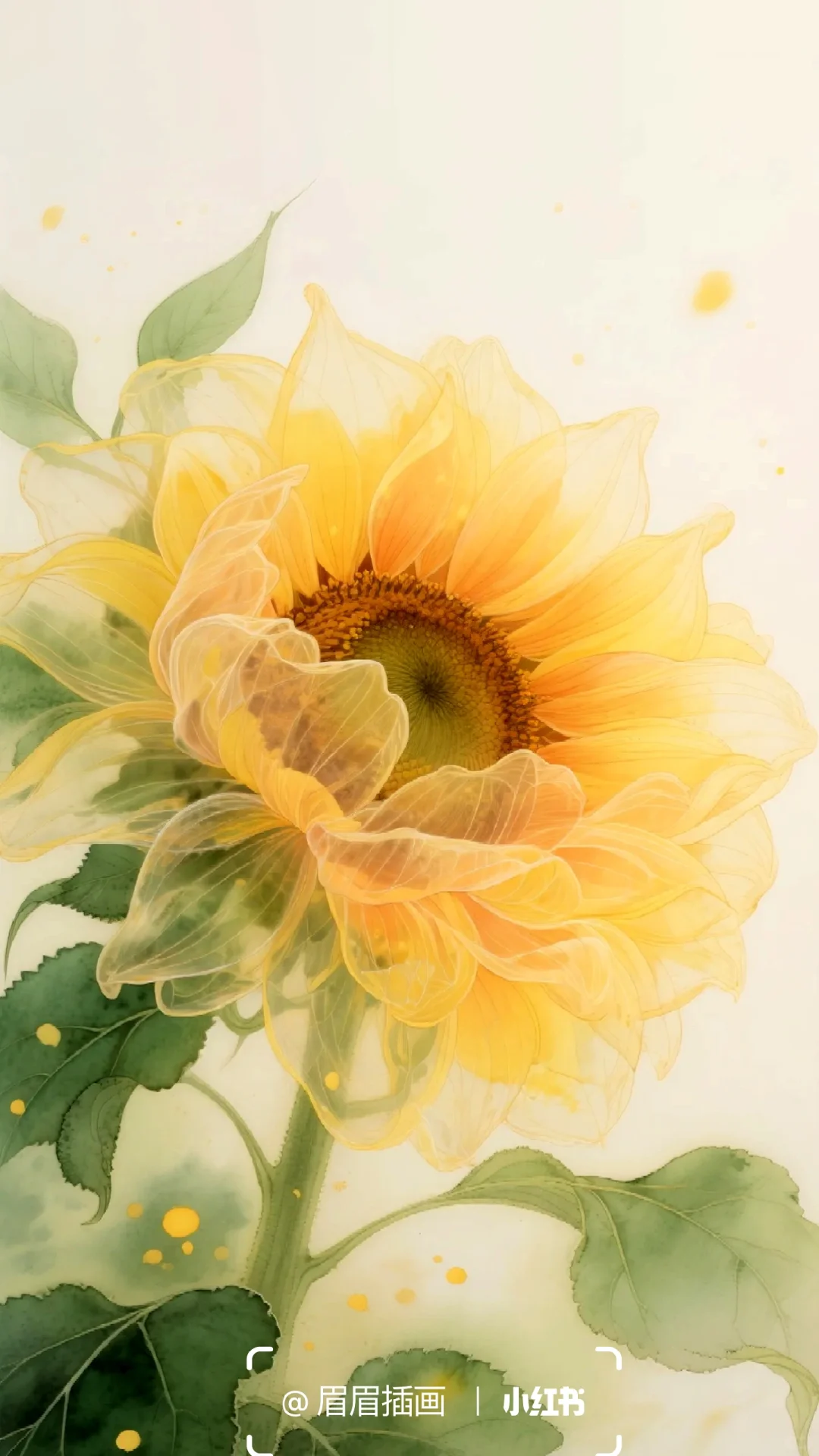 你的向日葵🌻心若向阳必有暖光