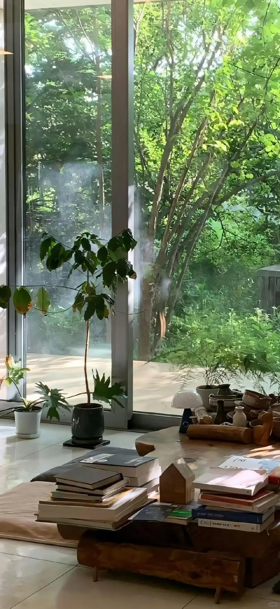 高级感高清ins壁纸