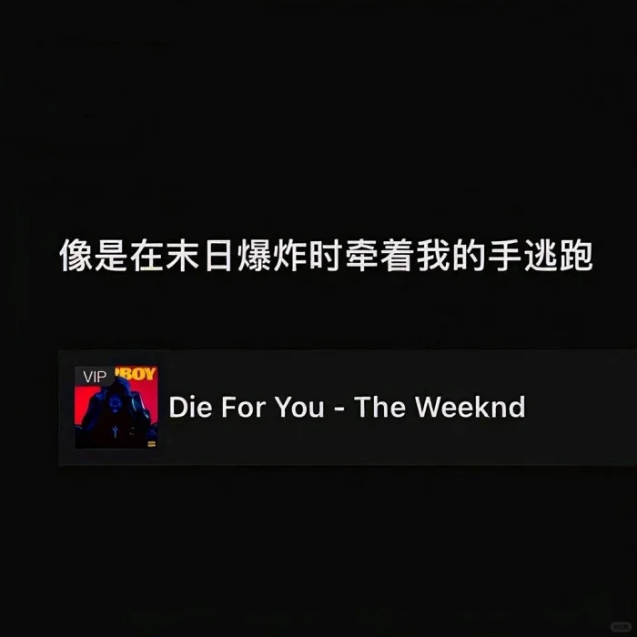 ins风 壁纸+背景图