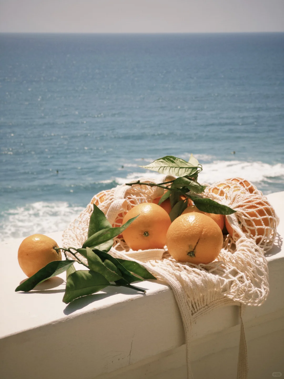 🍊California. 盛夏, 艳阳, 海岸, 甜橙。