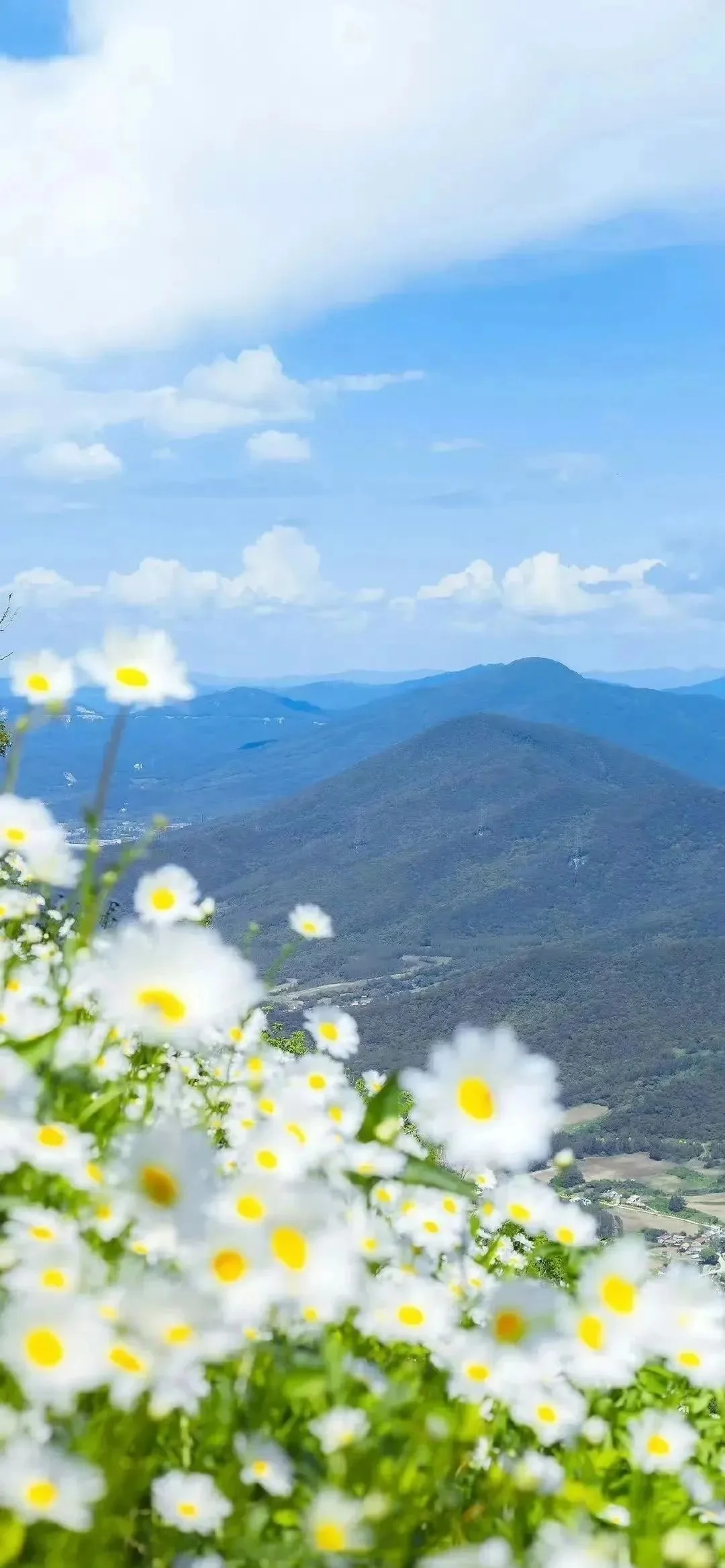 𝑾𝒂𝒍𝒍𝒑𝒂𝒑𝒆𝒓 |初夏凉爽壁纸
