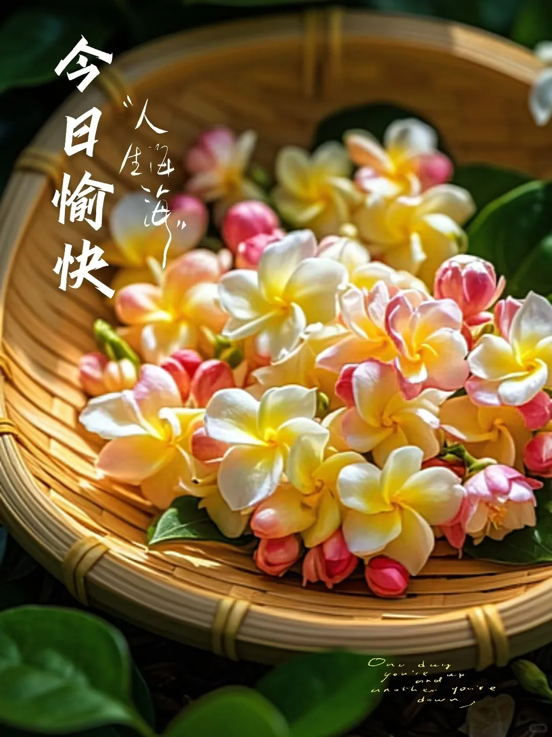 早安！今日文案！朋友圈美图分享！日签壁纸