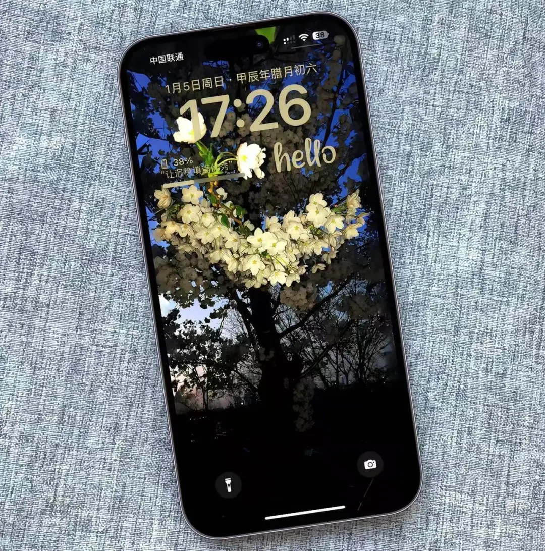 iPhone壁纸｜如花 似梦 是我们短暂的相逢