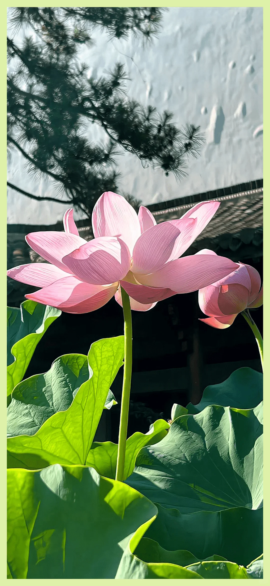 杂七杂八壁纸集