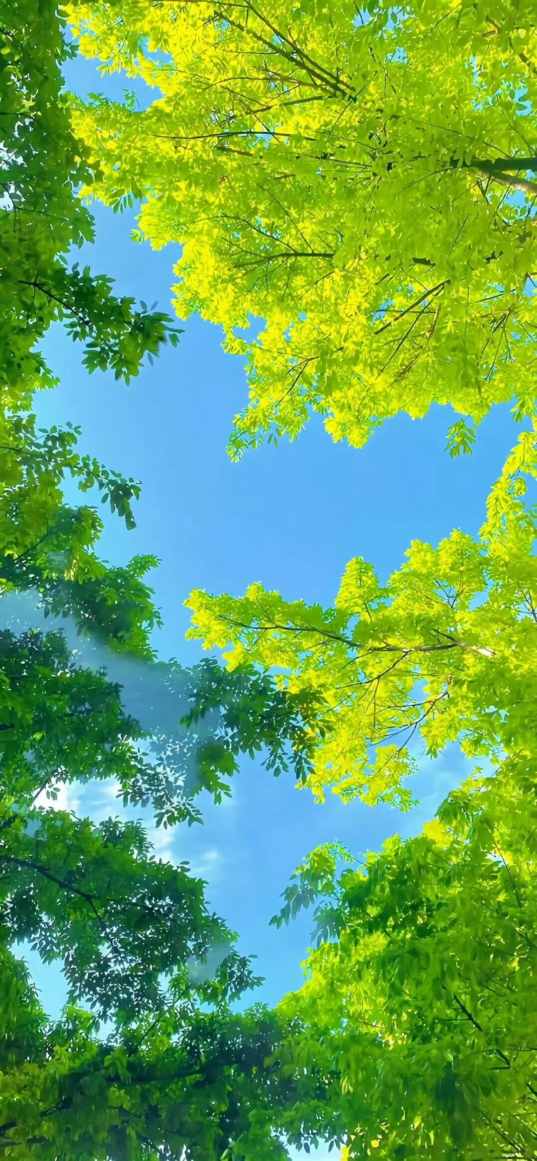 治愈系风景壁纸画画素材高清手机壁纸
