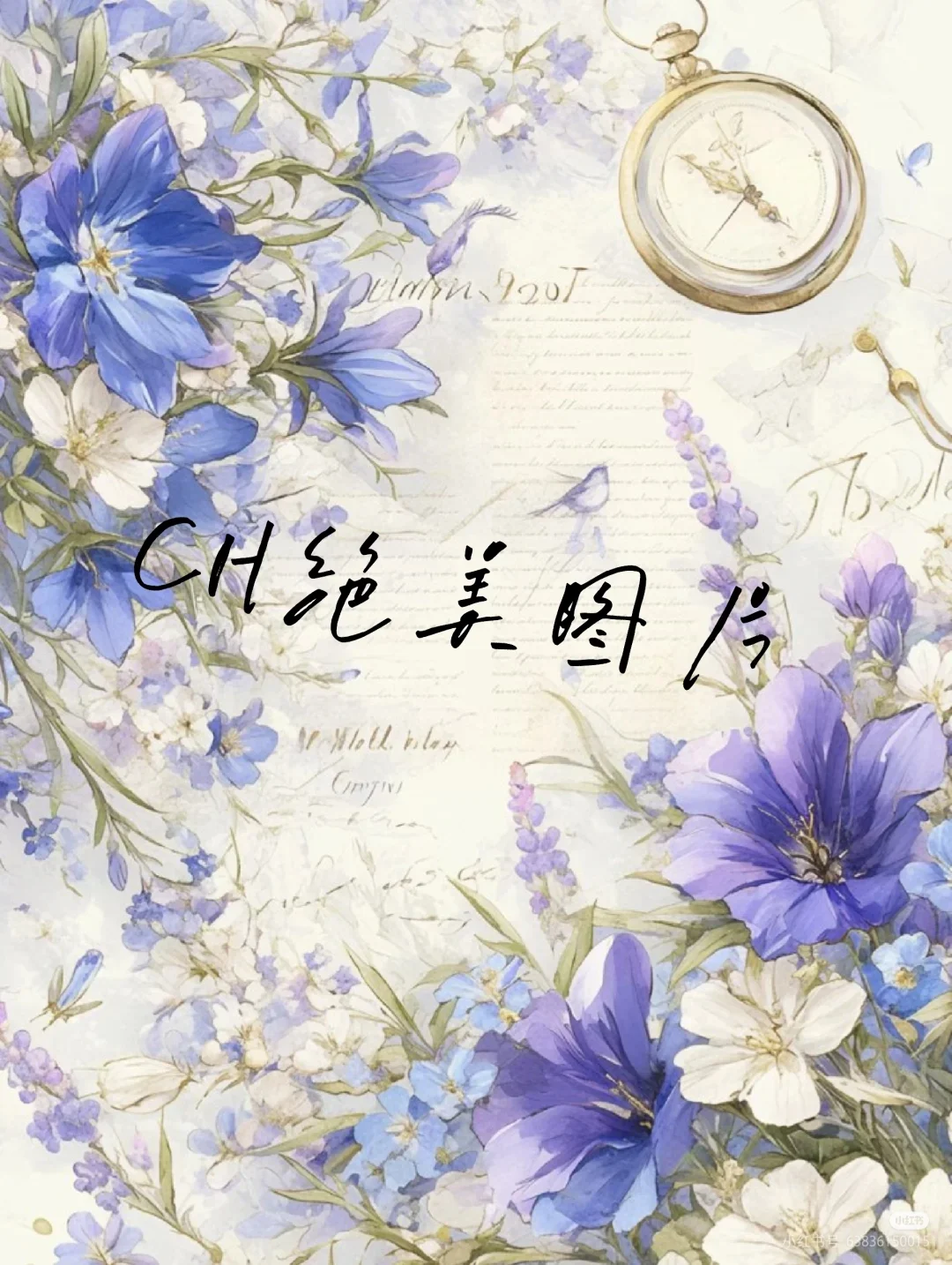 ch神仙图片