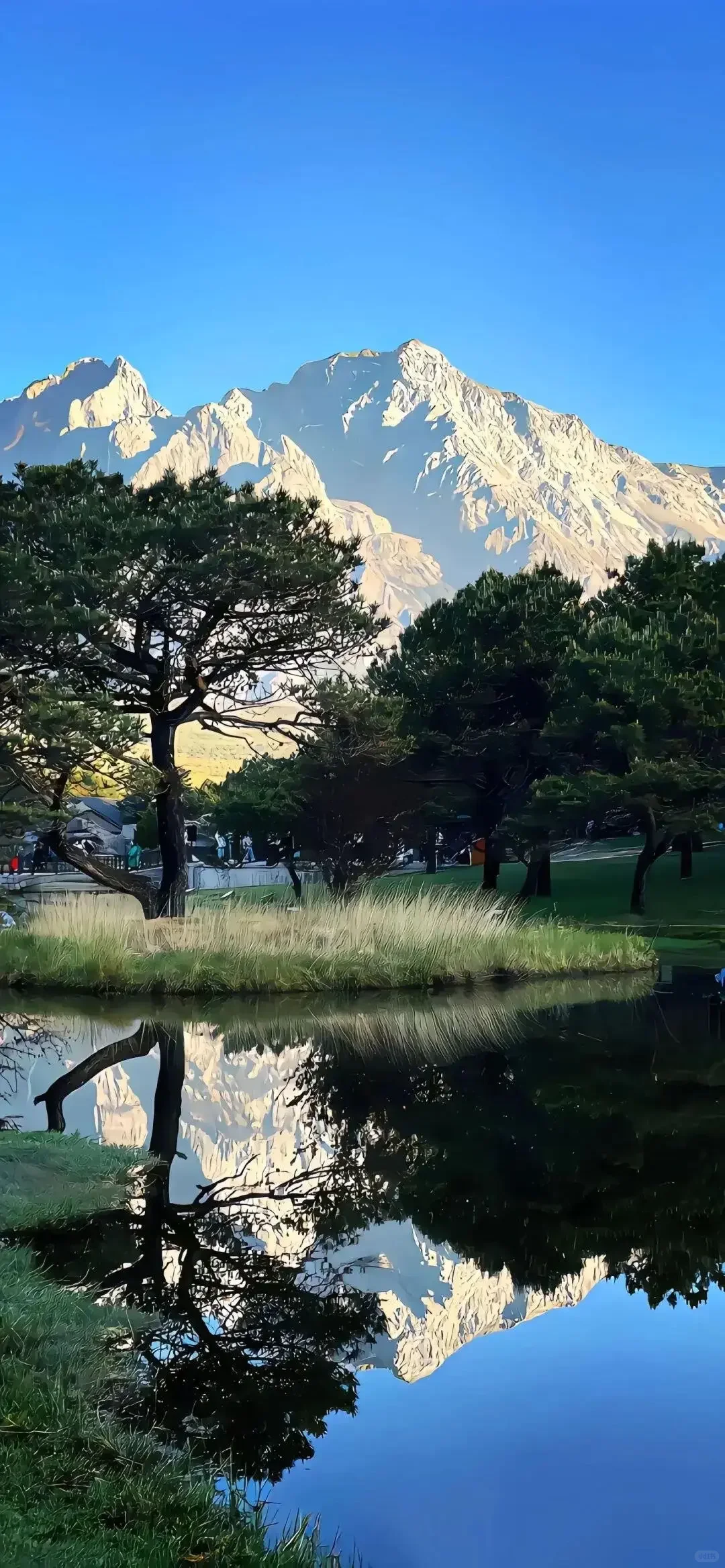 𝙎𝙝𝙖𝙧𝙚｜夏日绝美风景壁纸