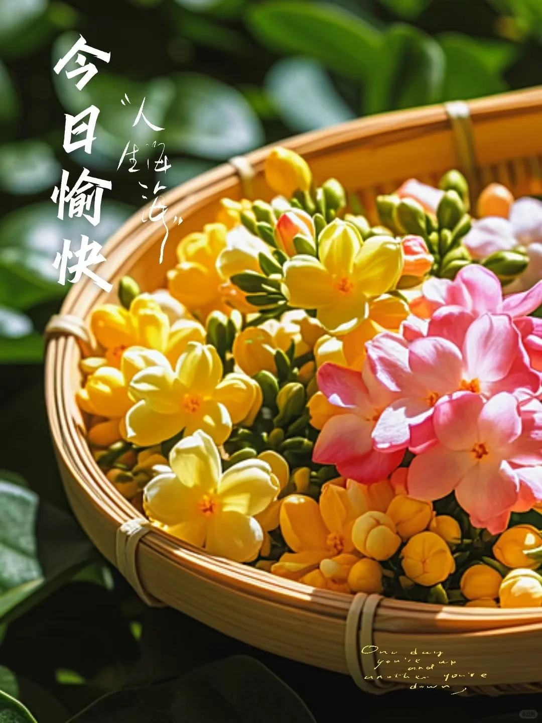 早安！今日文案！朋友圈美图分享！日签壁纸