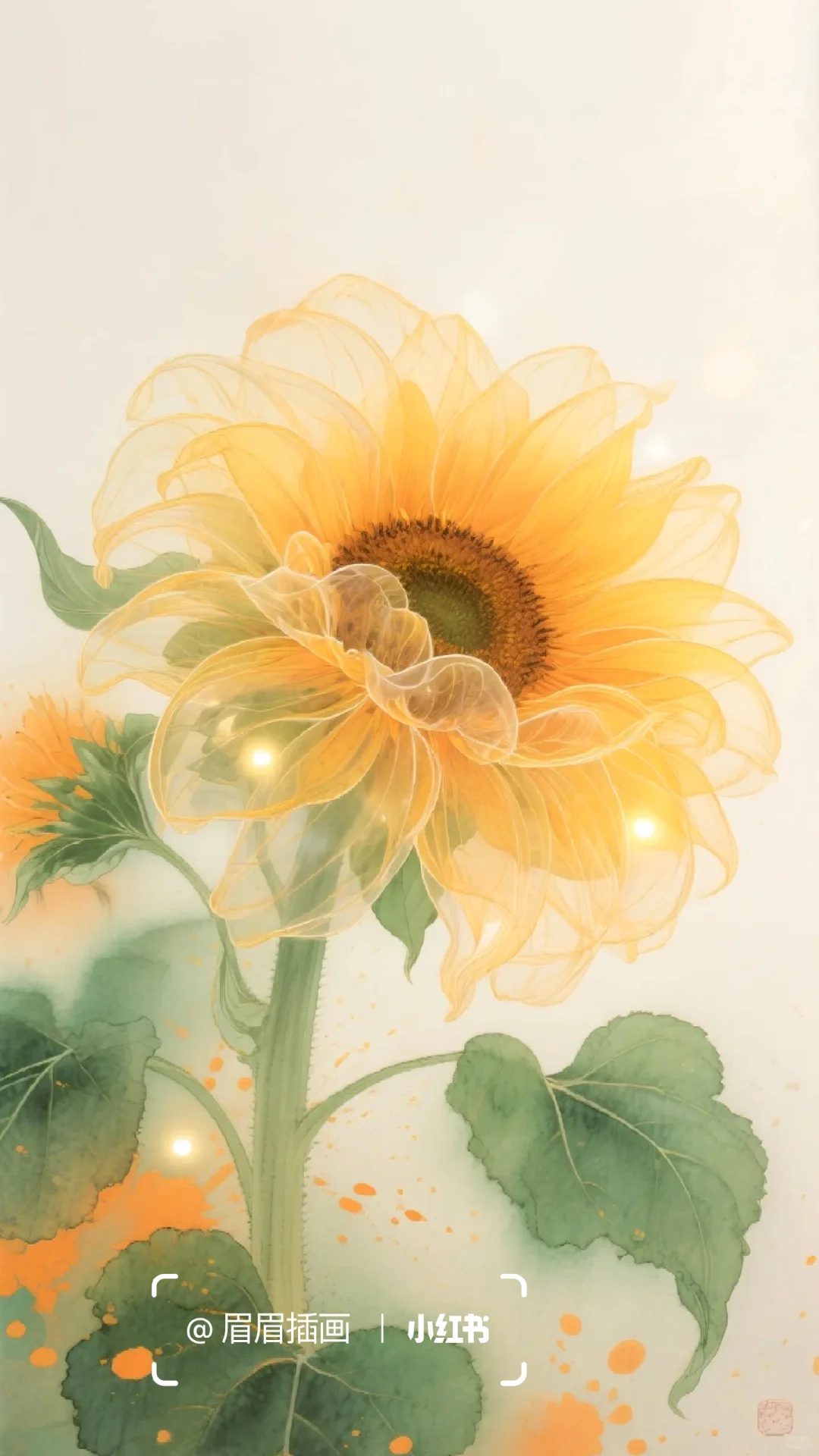 你的向日葵🌻心若向阳必有暖光