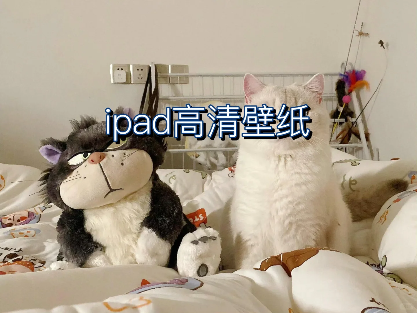 iPad壁纸高清｜4k iOS壁纸