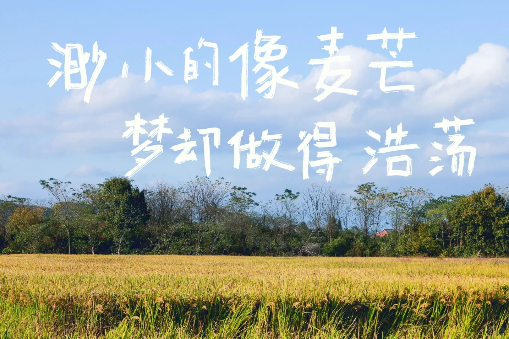 🌹哥们儿的ipad和电脑壁纸