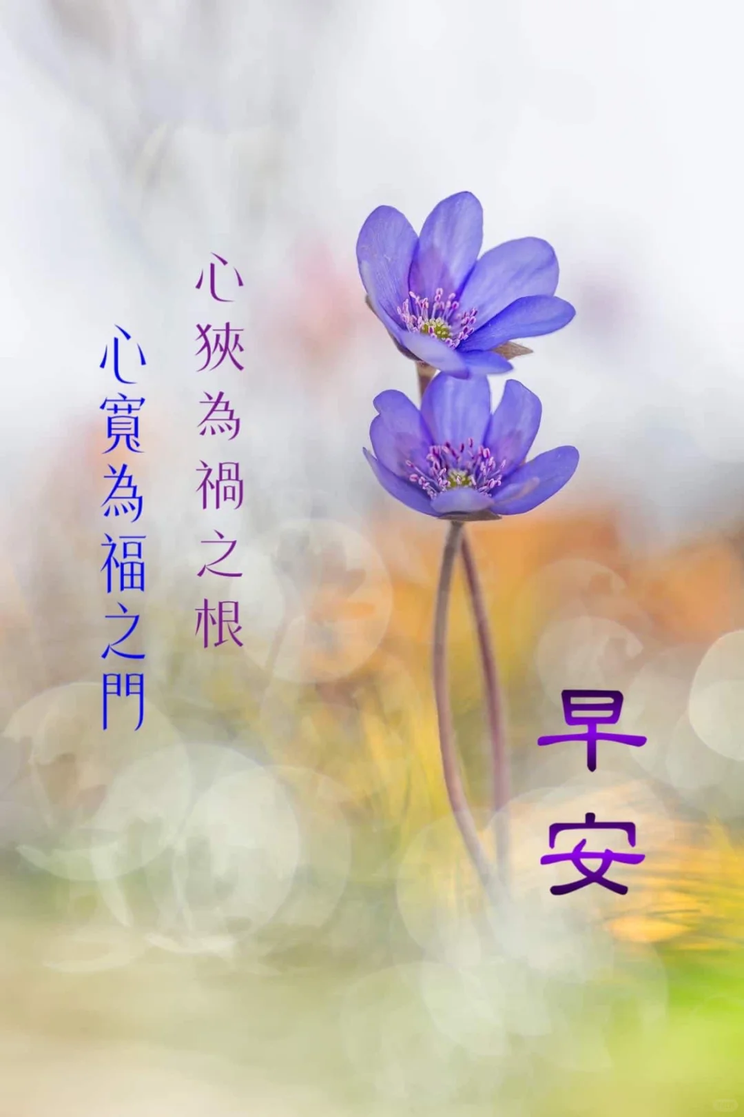 日安吉祥如意
