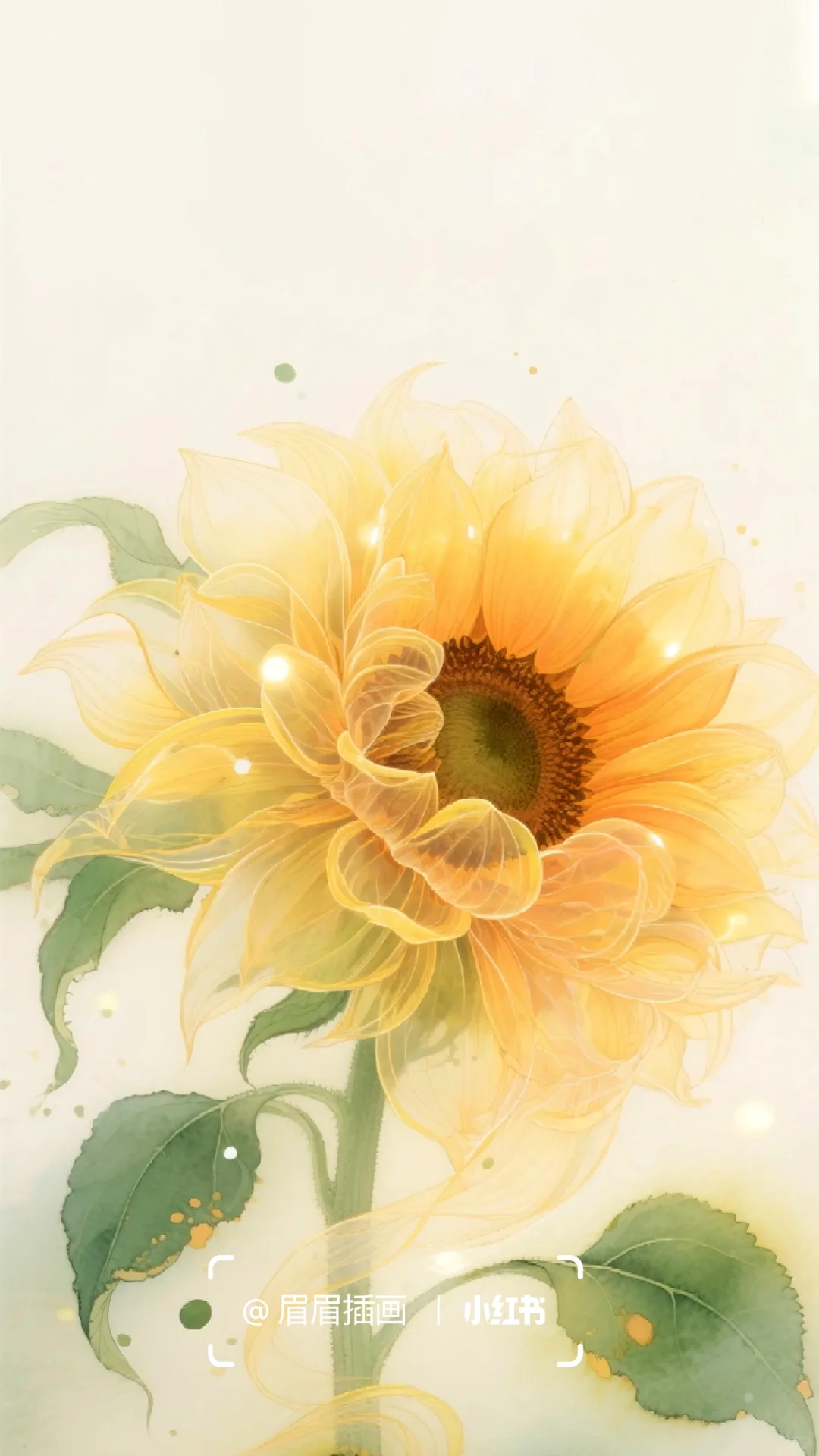 你的向日葵🌻心若向阳必有暖光